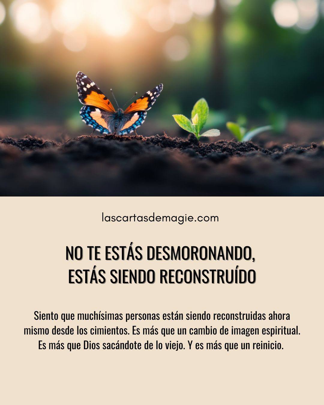 No te estás desmoronando, estás siendo reconstruido - Las Cartas de Magie