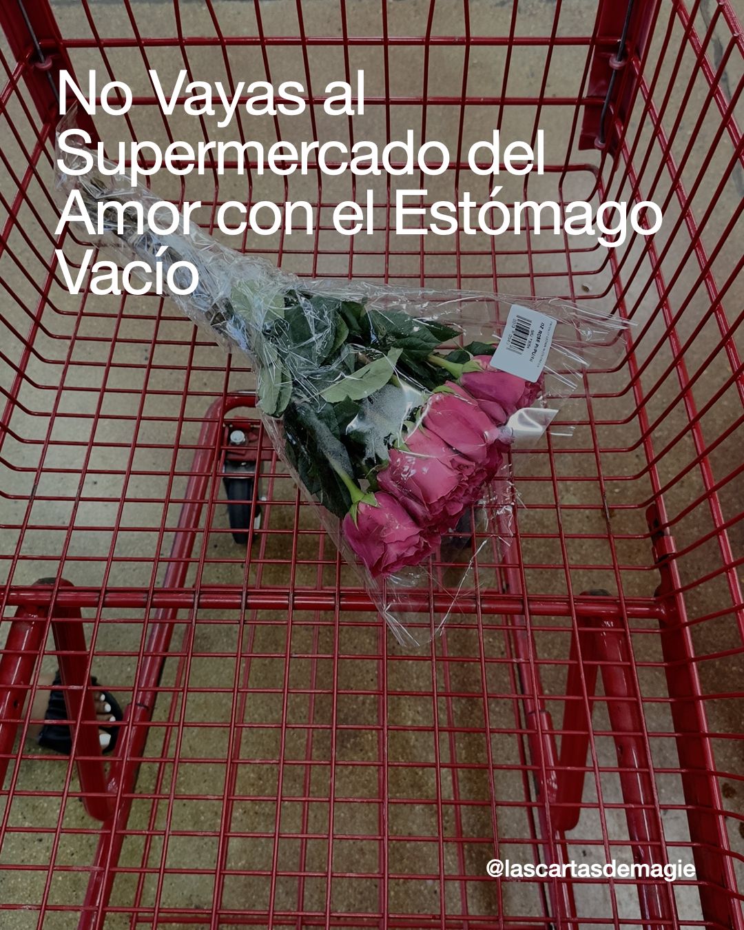 No Vayas al Supermercado del Amor con el Estómago Vacío - Las Cartas de Magie