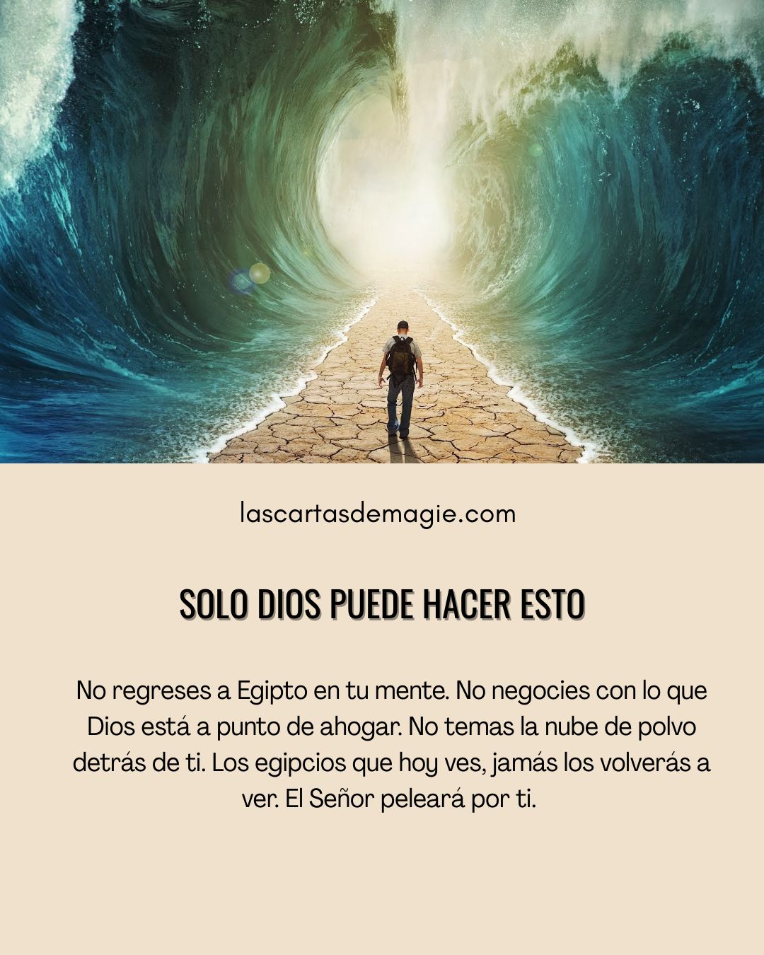 Solo Dios puede hacer esto - Las Cartas de Magie
