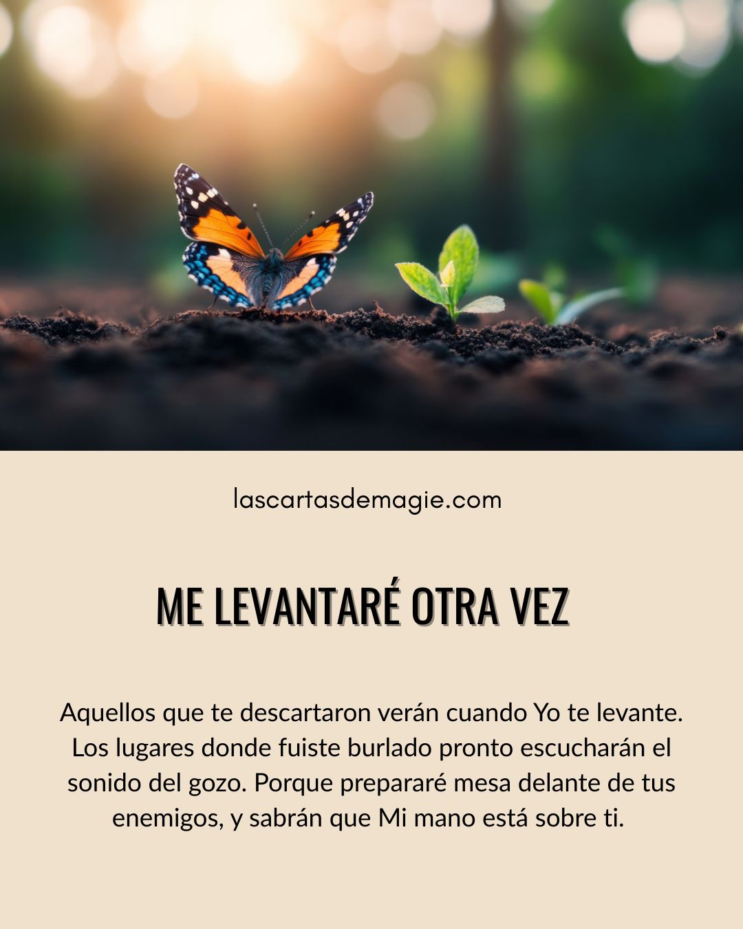 Me levantaré otra vez - Las Cartas de Magie