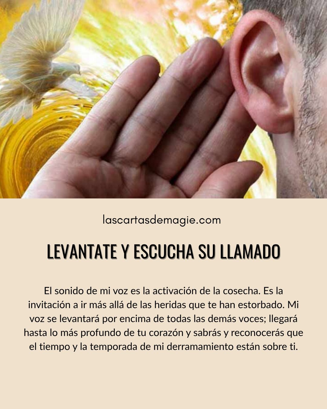 Levántate y escucha su llamado - Las Cartas de Magie