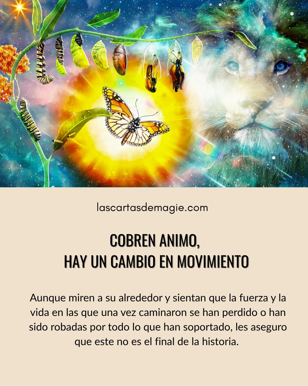 Cobren  ánimo, hay un cambio en movimiento - Las Cartas de Magie