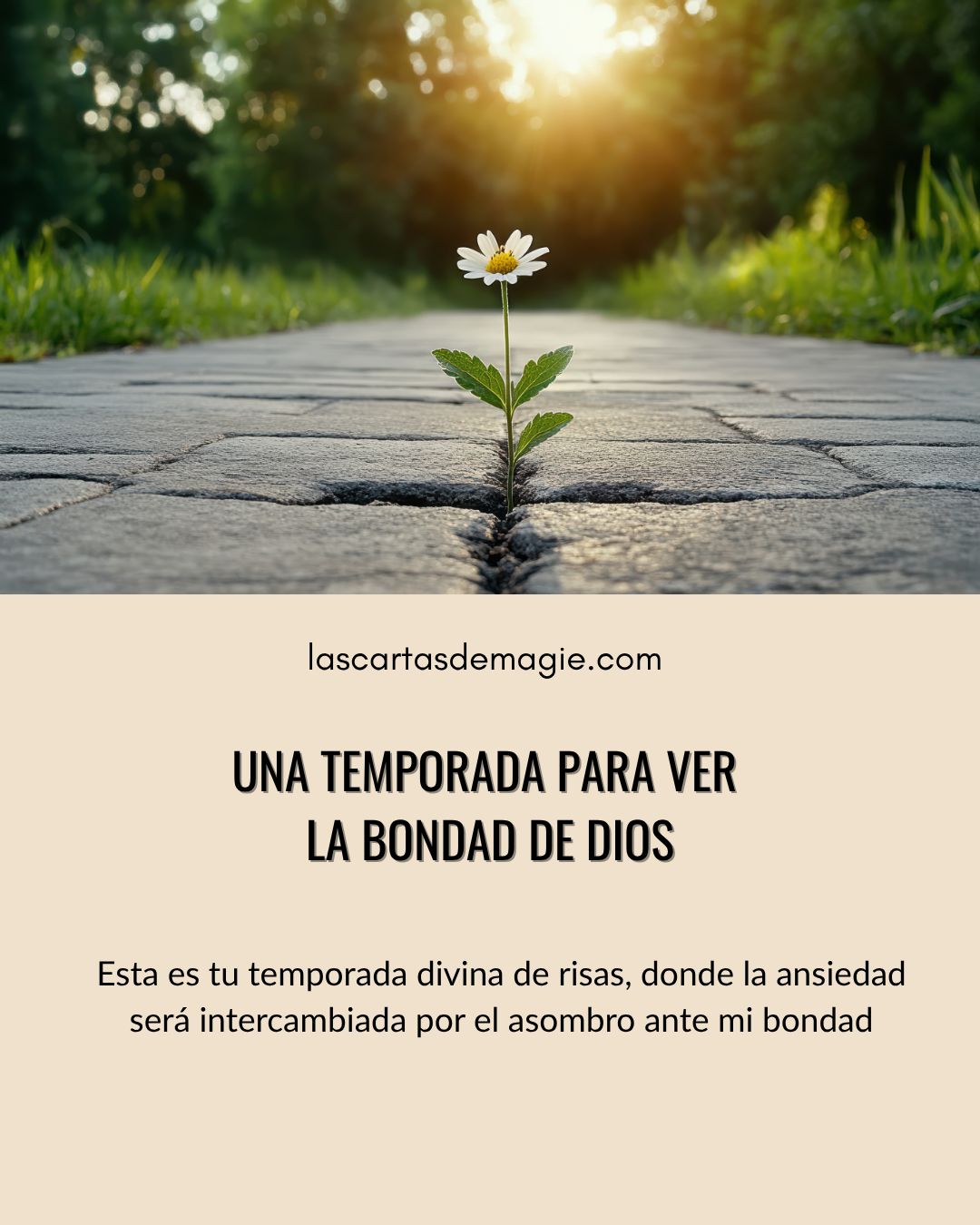 Una temporada para ver la bondad de Dios - Las Cartas de Magie