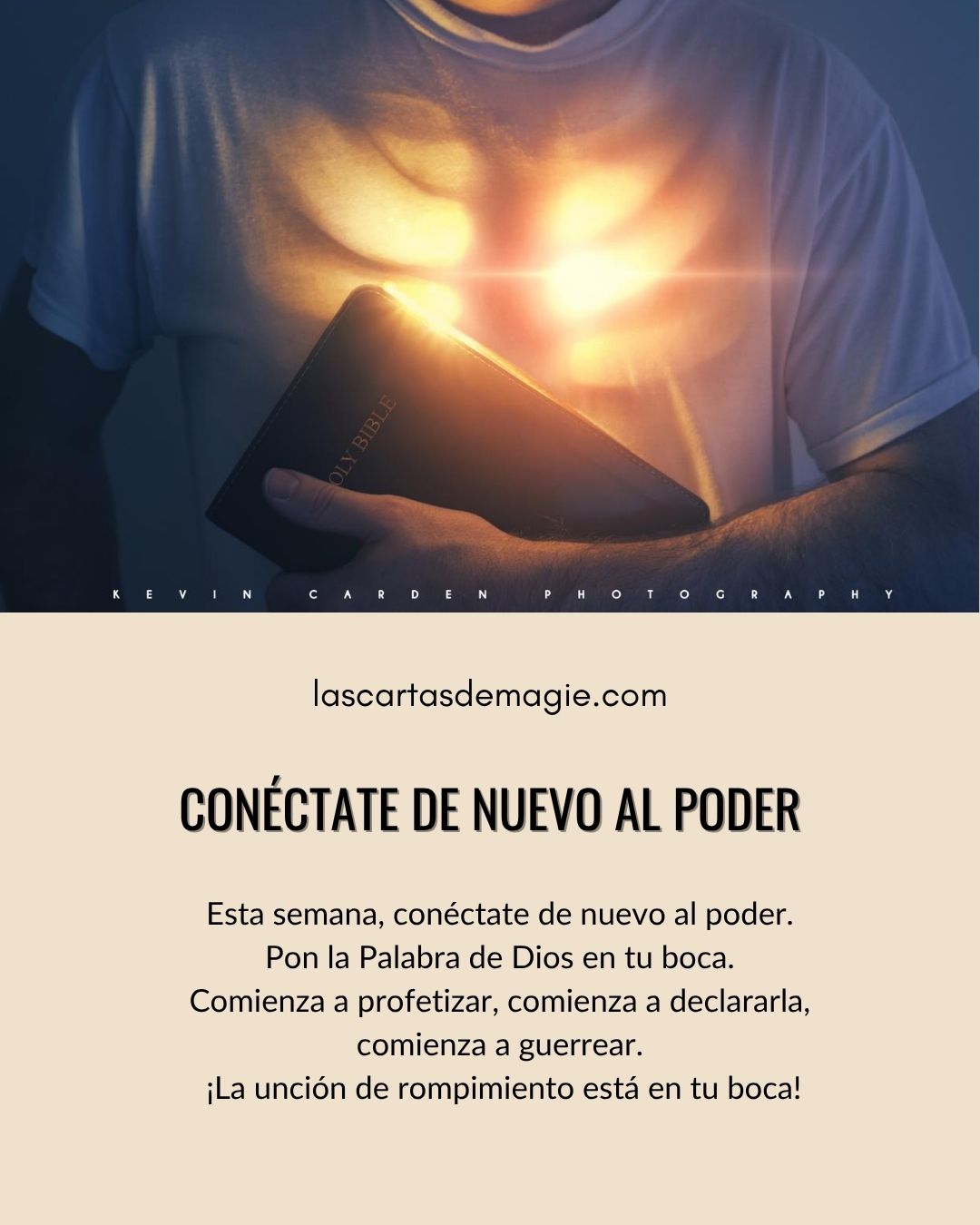 Conéctate de nuevo al poder - Las Cartas de Magie