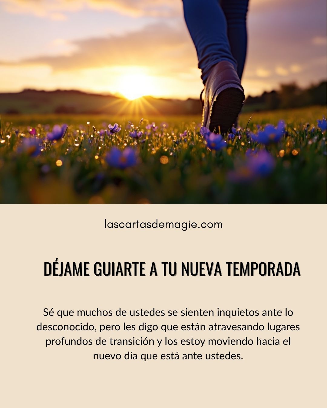 Déjame guiarte a tu nueva temporada - Las Cartas de Magie