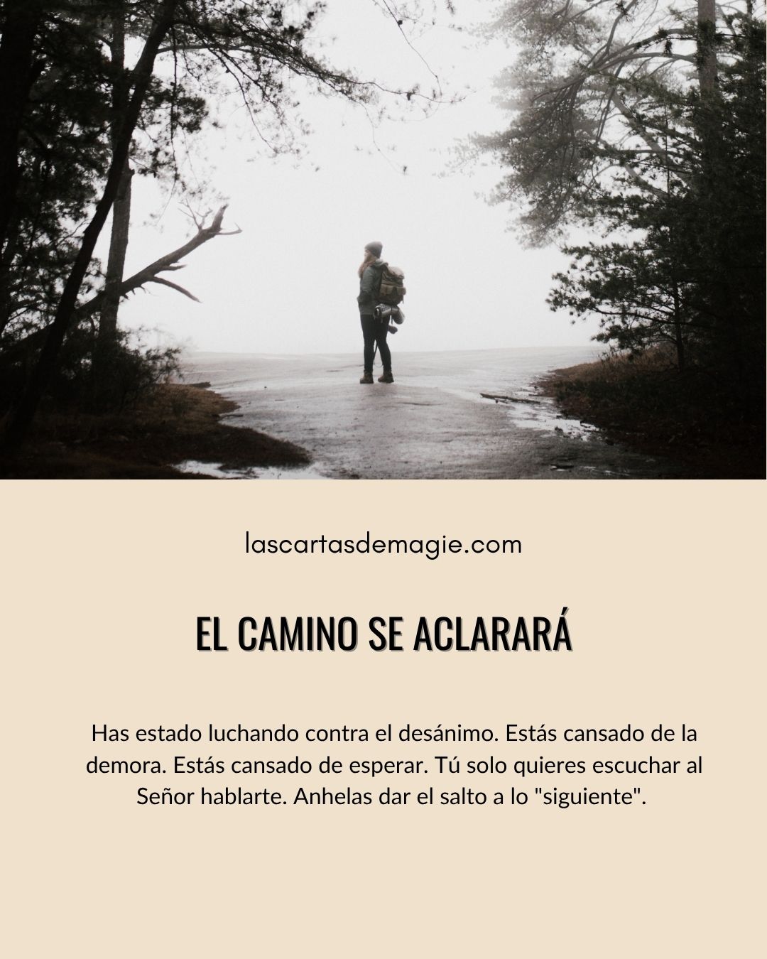 El camino se aclarará - Las Cartas de Magie