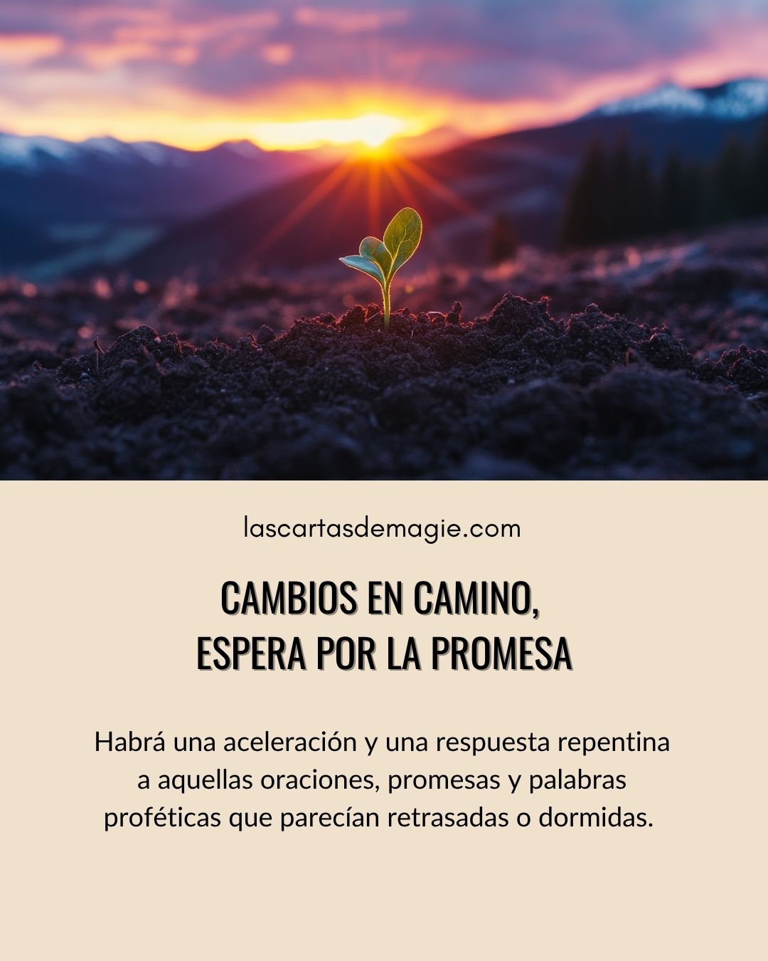 Cambios en camino, espera por la promesa - Las Cartas de Magie