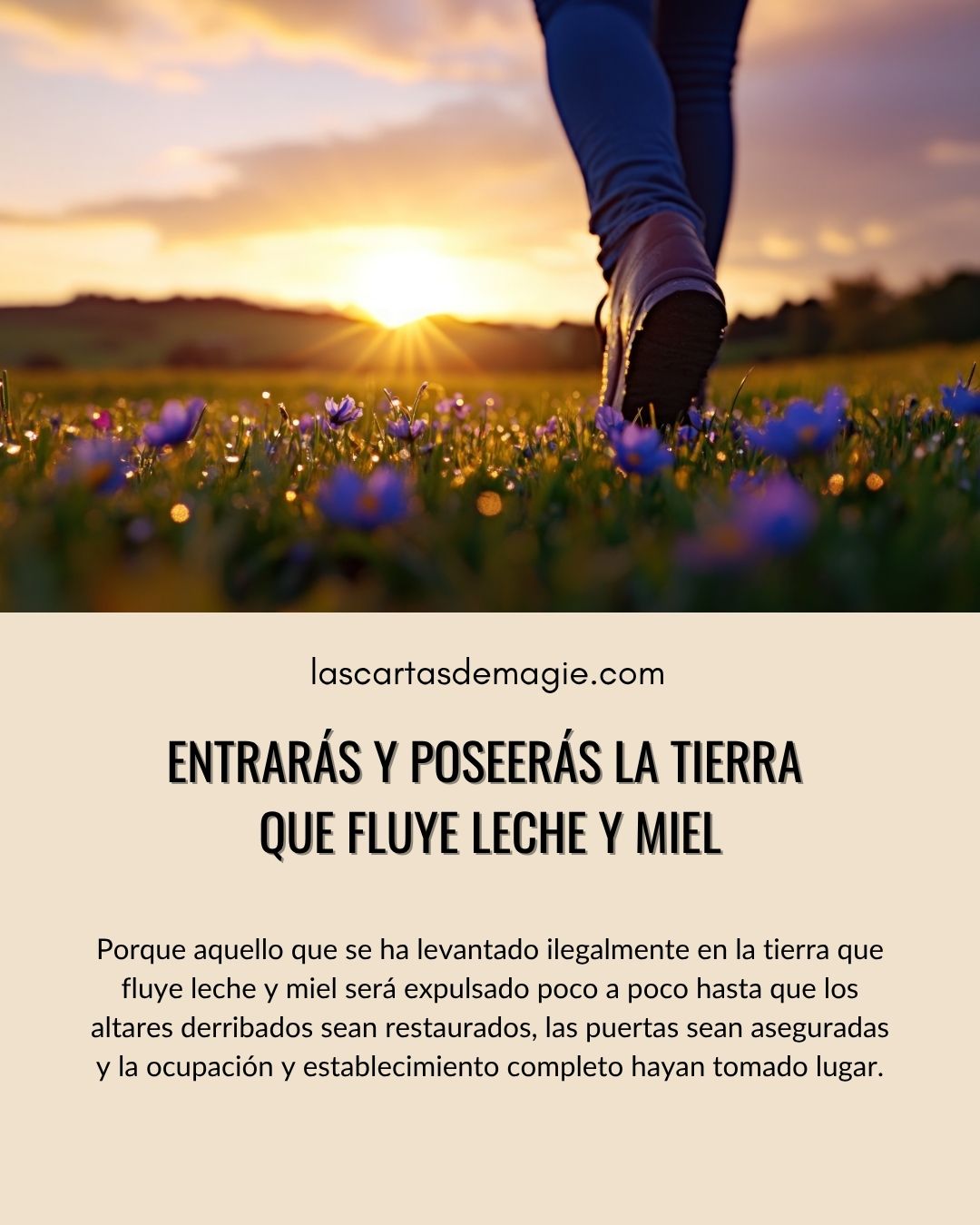Entrarás y poseerás la tierra que fluye leche y miel - Las Cartas de Magie