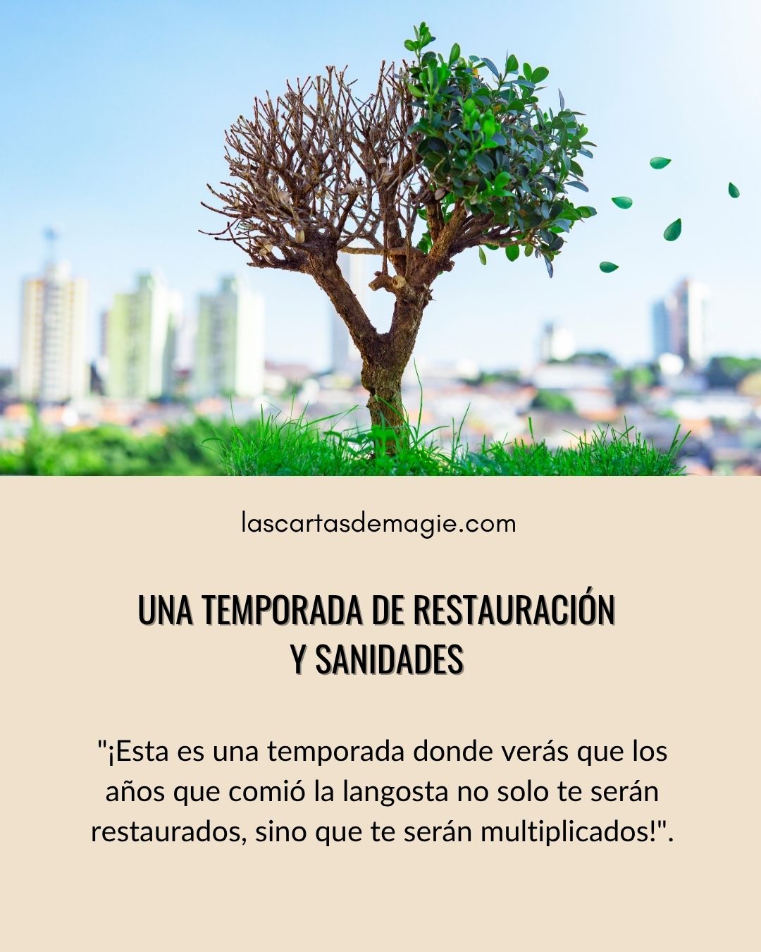 Una temporada de restauración y sanidades - Las Cartas de Magie