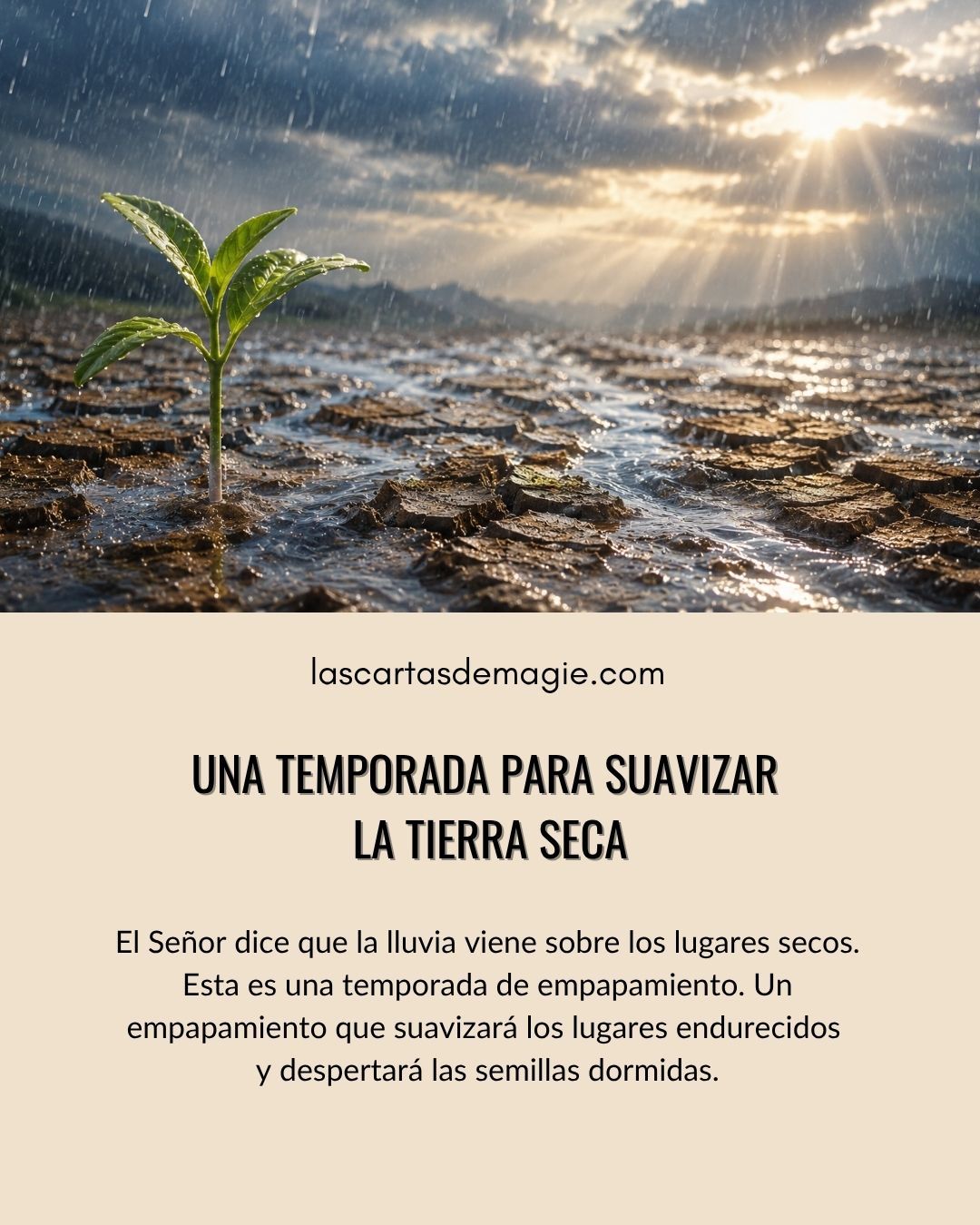 Una temporada para suavizar la tierra seca - Las Cartas de Magie