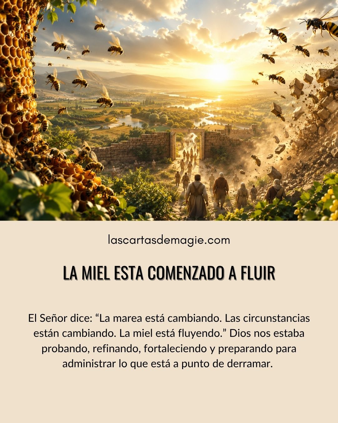 La miel está comenzando a fluir - Las Cartas de Magie