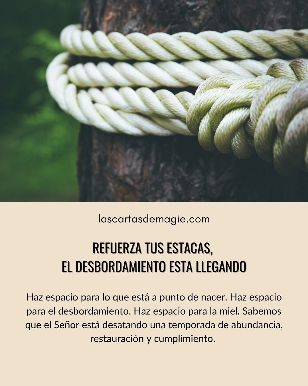 Refuerza tus estacas, el desbordamiento está llegando - Las Cartas de Magie