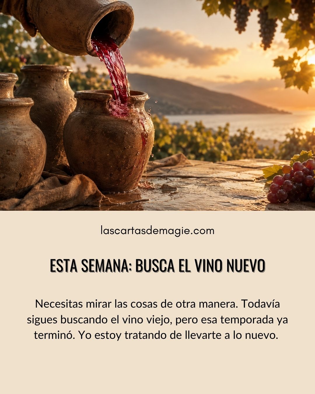 Esta semana: busca el vino nuevo - Las Cartas de Magie
