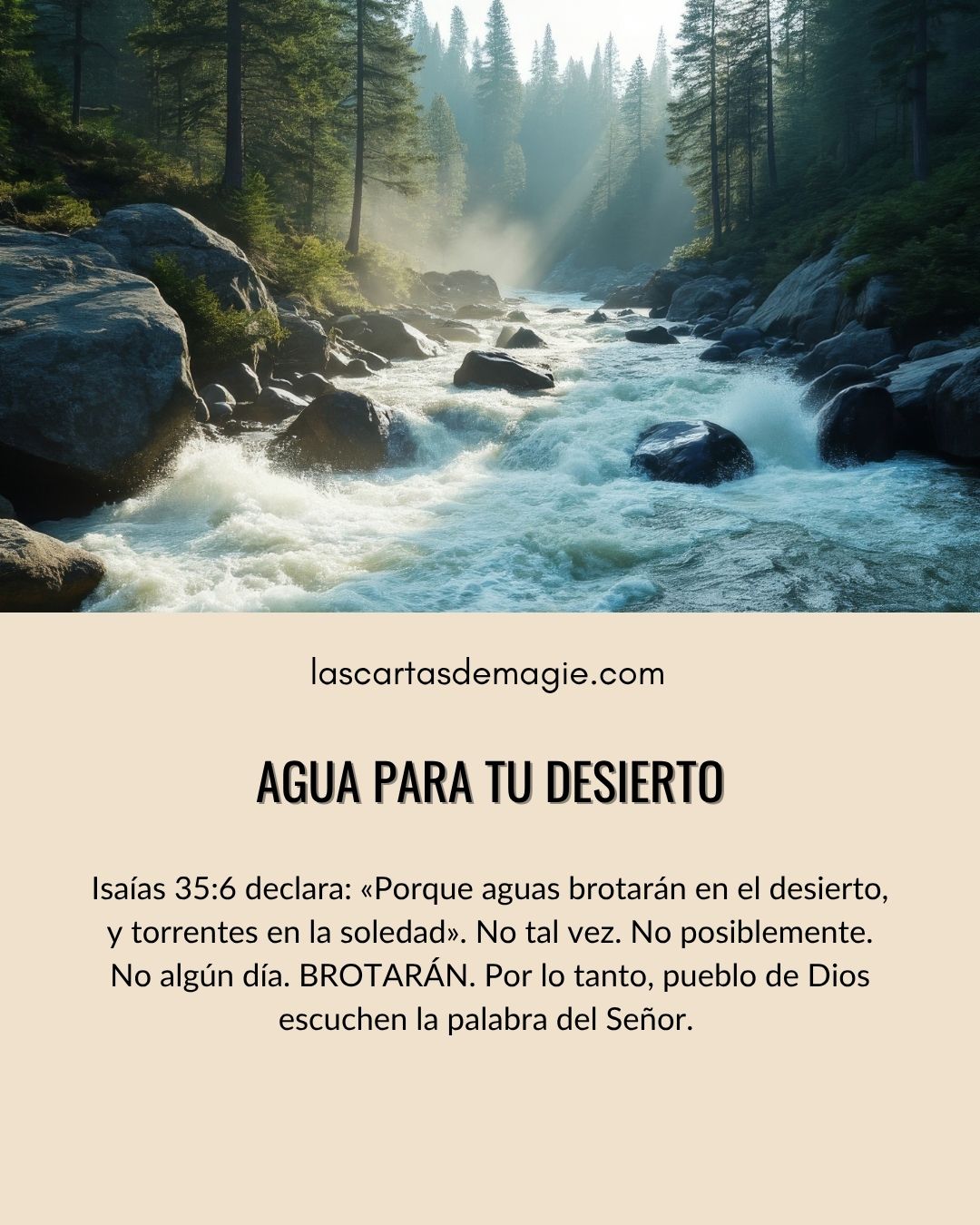Agua para tu desierto - Las Cartas de Magie
