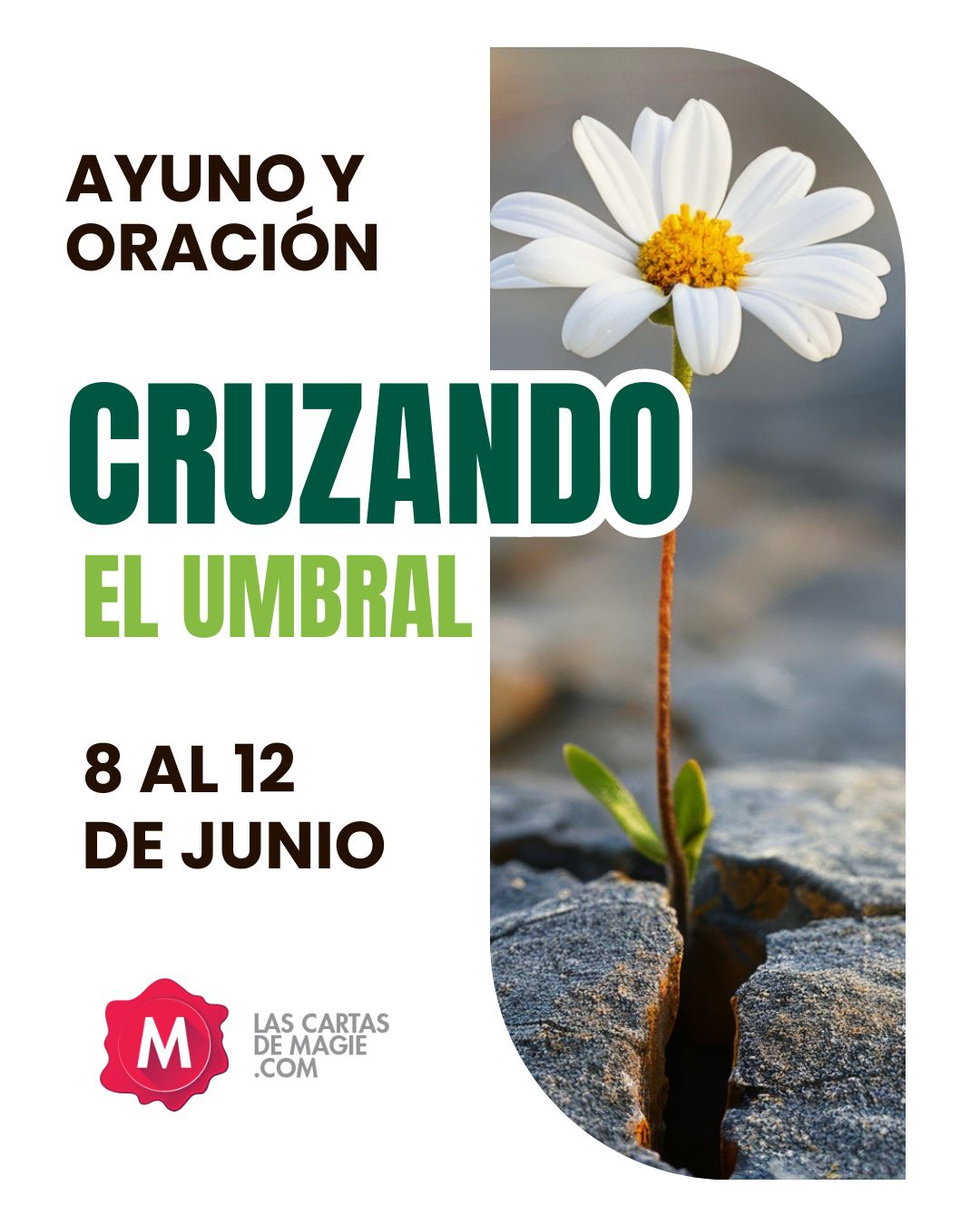 Cinco días de oración y ayuno «Cruzando el umbral» - Las Cartas de Magie