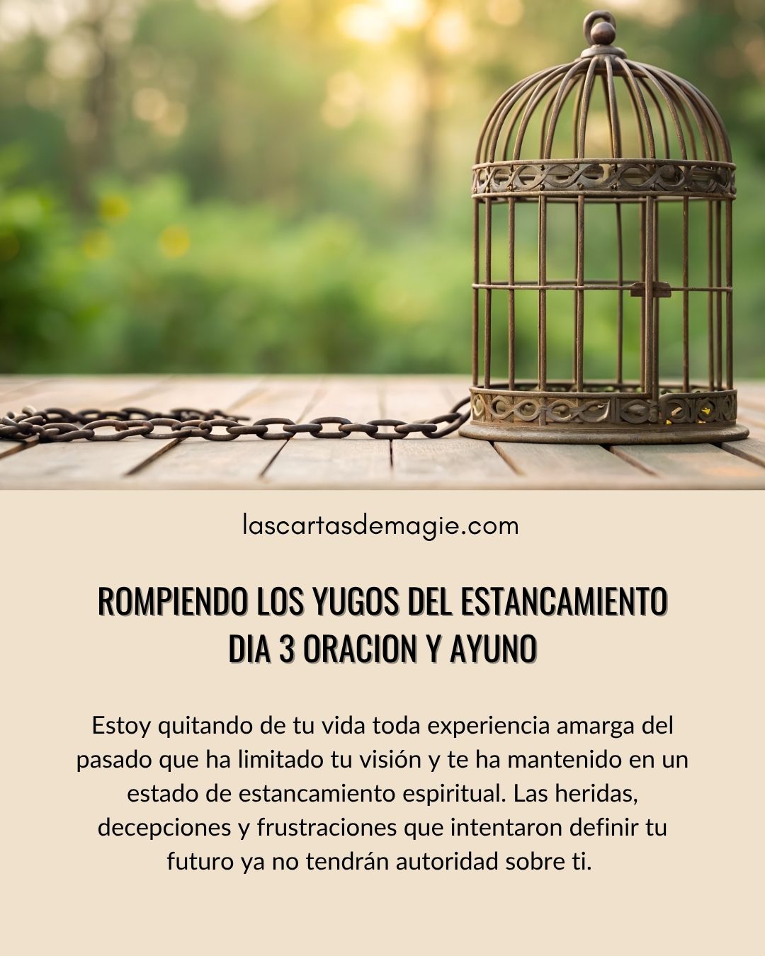 Día 3 – Rompiendo los yugos del estancamiento - Las Cartas de Magie