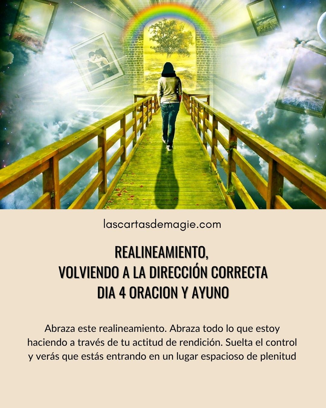 Día 4 – Realineamiento, volviendo a la dirección correcta - Las Cartas de Magie