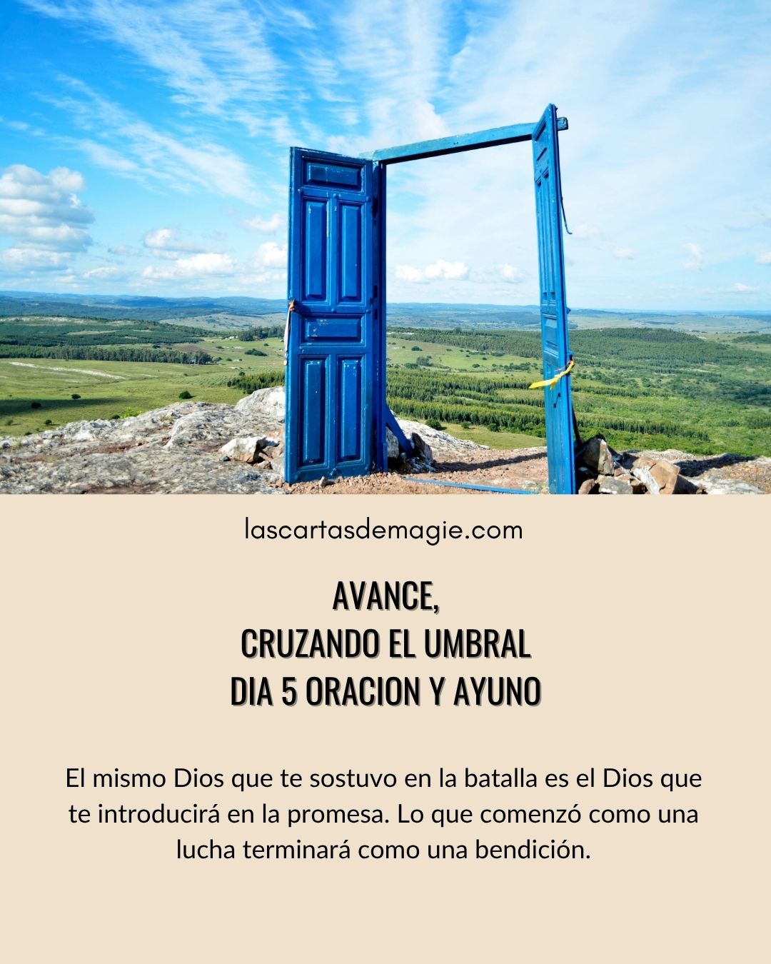 Día 5 – Avance, cruzando el umbral - Las Cartas de Magie