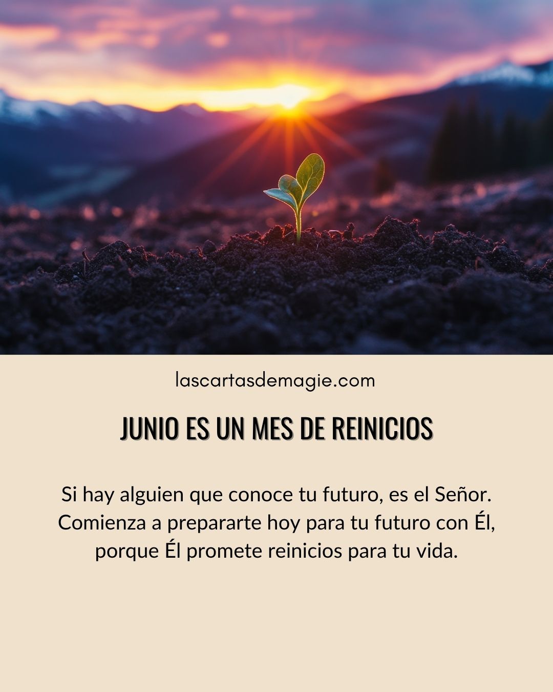 Junio es un mes de reinicios - Las Cartas de Magie