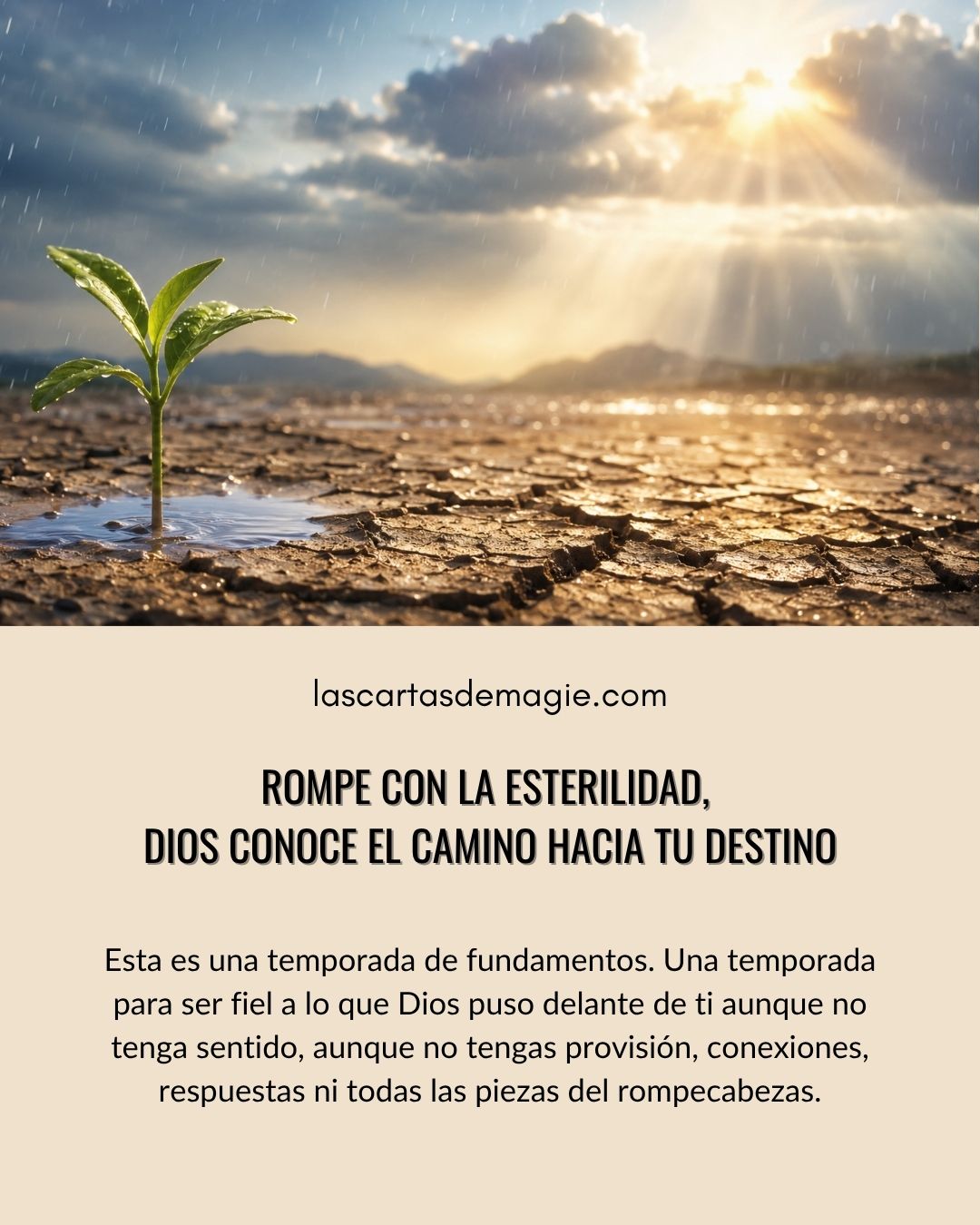 Rompe con la esterilidad, Dios conoce el camino hacia tu destino - Las Cartas de Magie