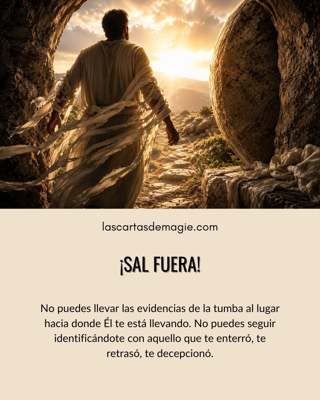!Sal fuera¡ - Las Cartas de Magie