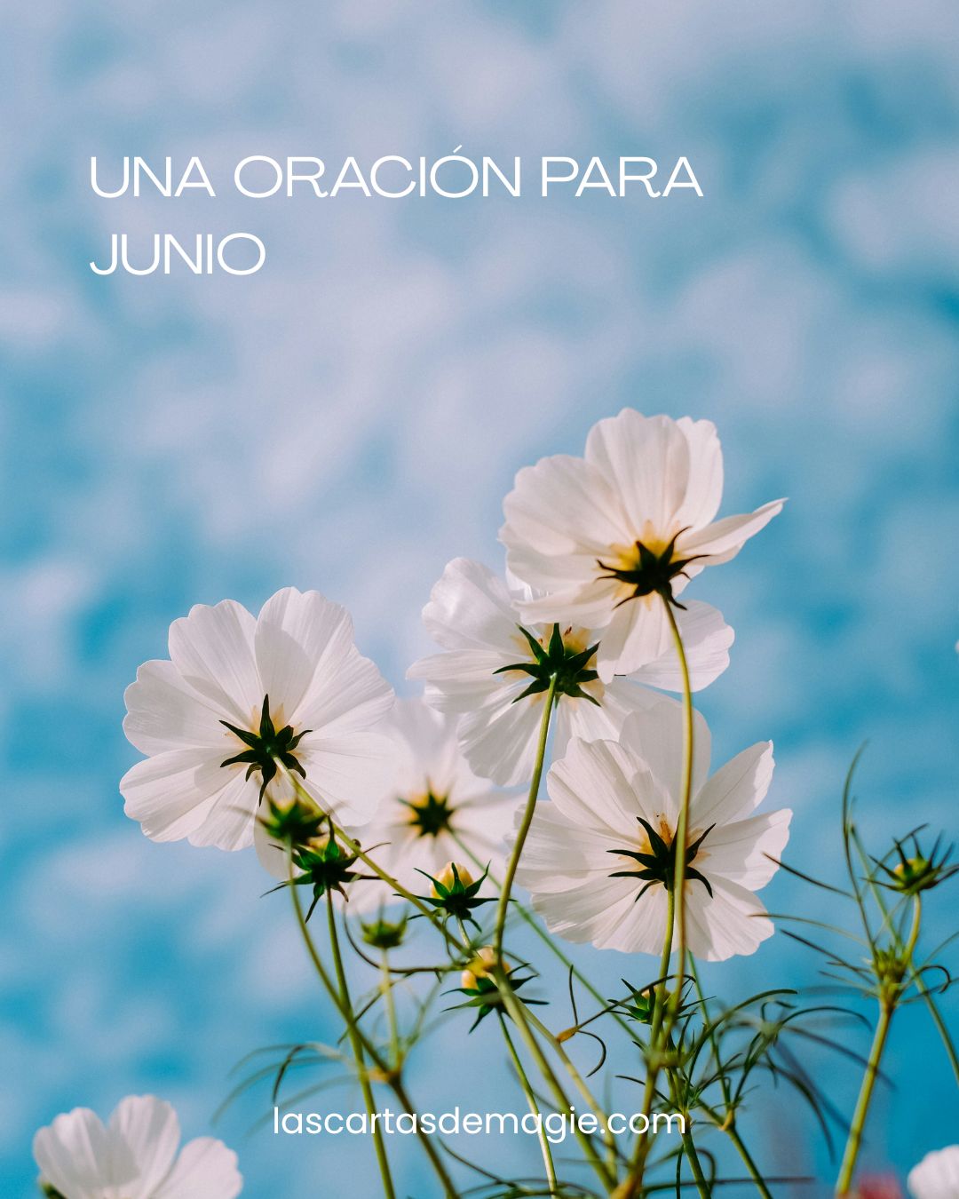 Una oración para junio - Las Cartas de Magie