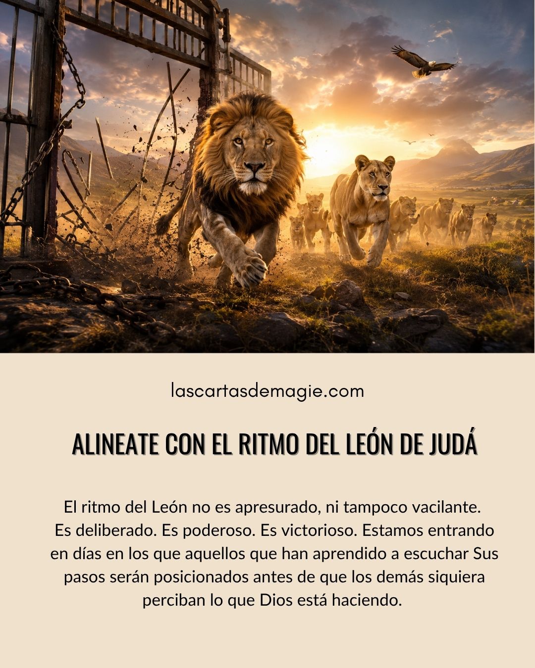 Alíneate con el ritmo del León de Judá - Las Cartas de Magie