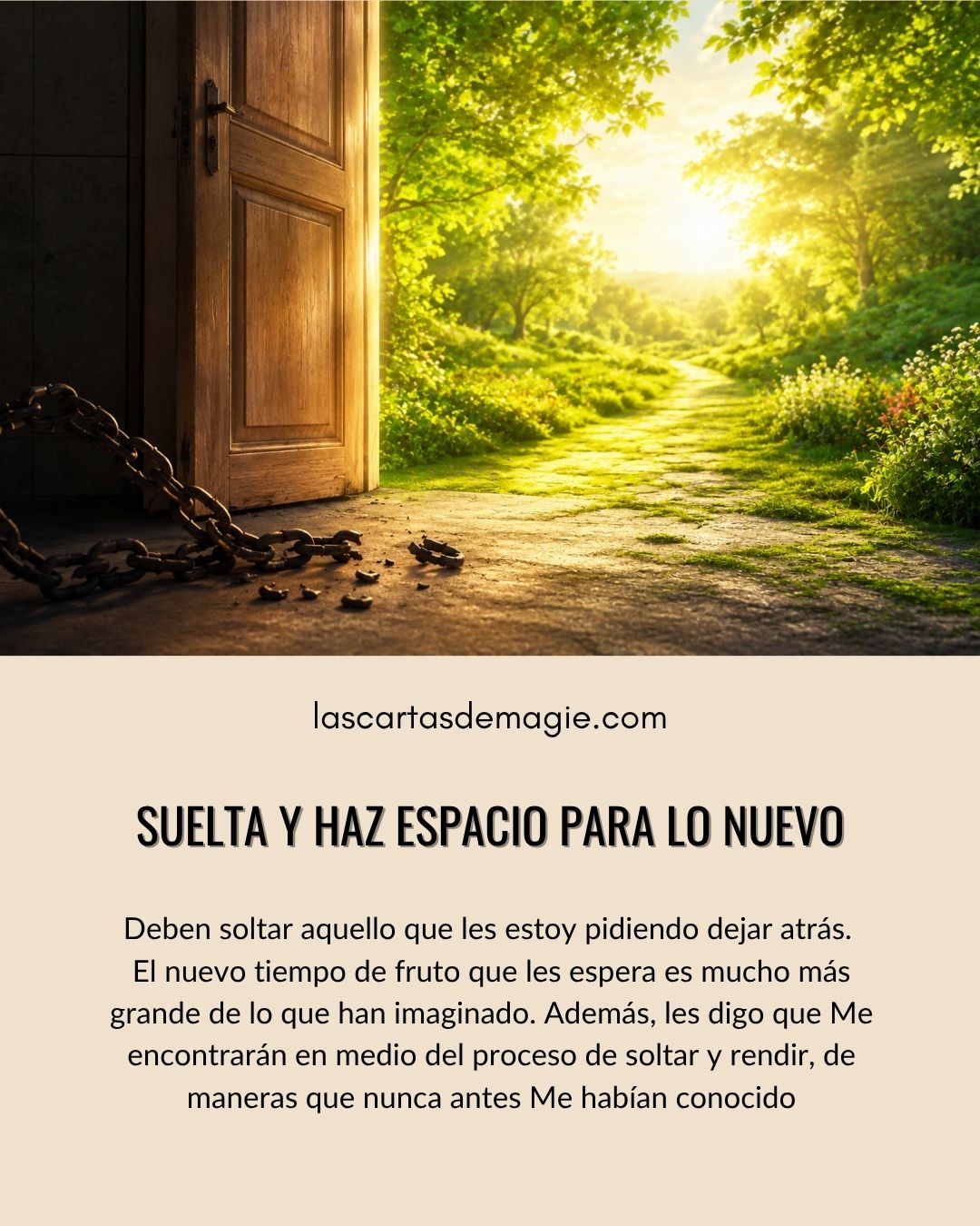 Suelta y haz espacio para lo nuevo - Las Cartas de Magie