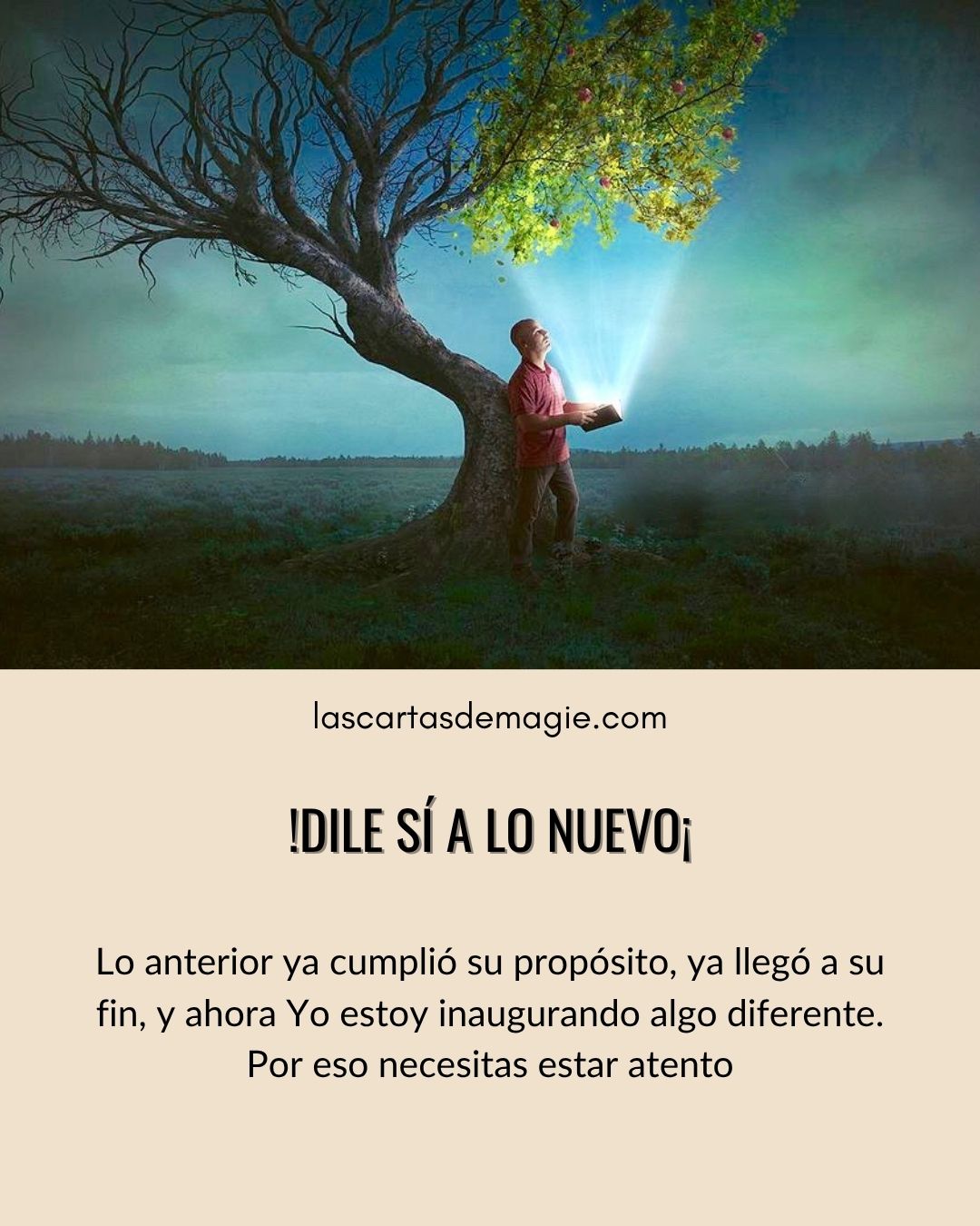Dile sí a lo nuevo - Las Cartas de Magie