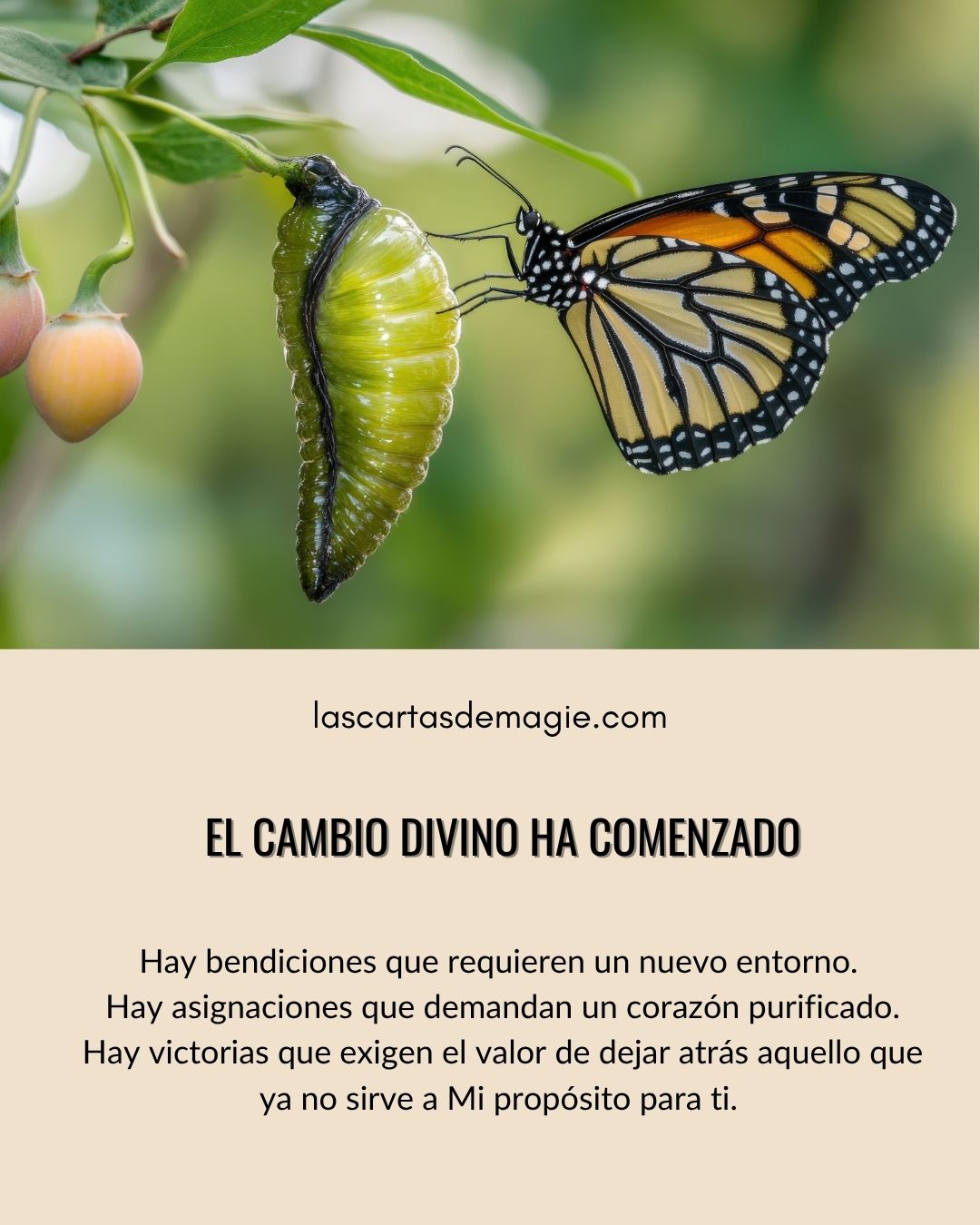El cambio divino ha comenzado - Las Cartas de Magie