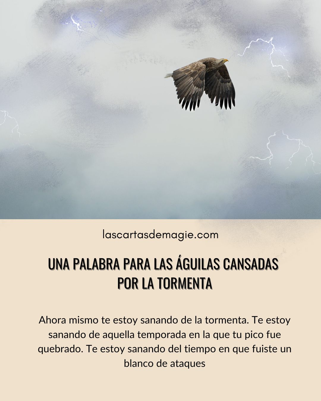Una palabra para las águilas cansadas por la tormenta - Las Cartas de Magie