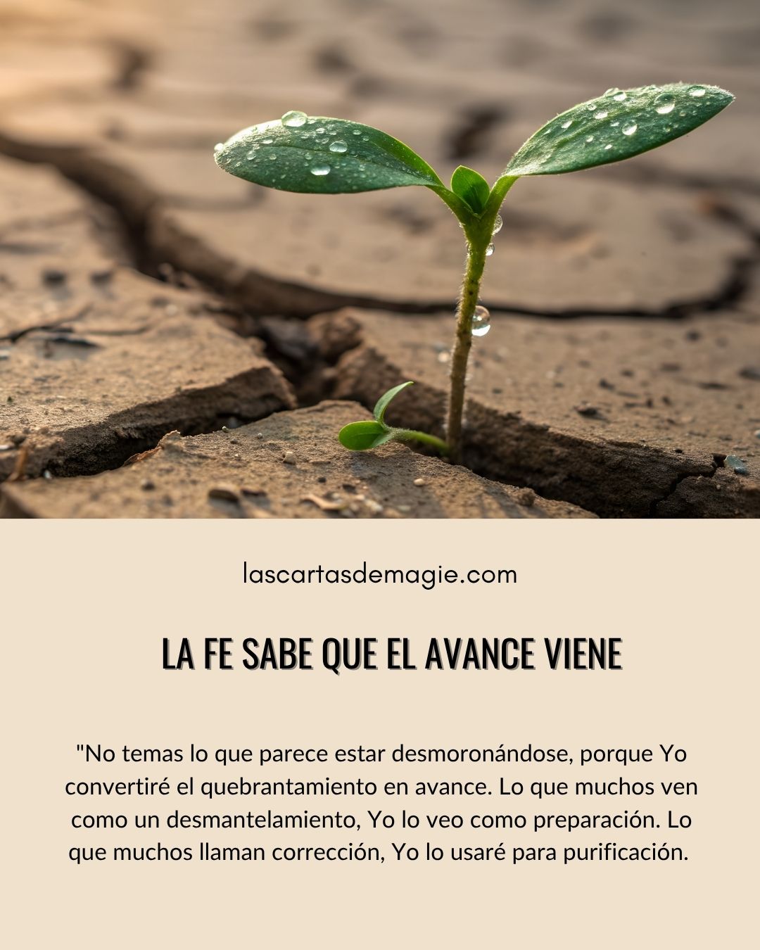 La fe sabe que el avance viene - Las Cartas de Magie
