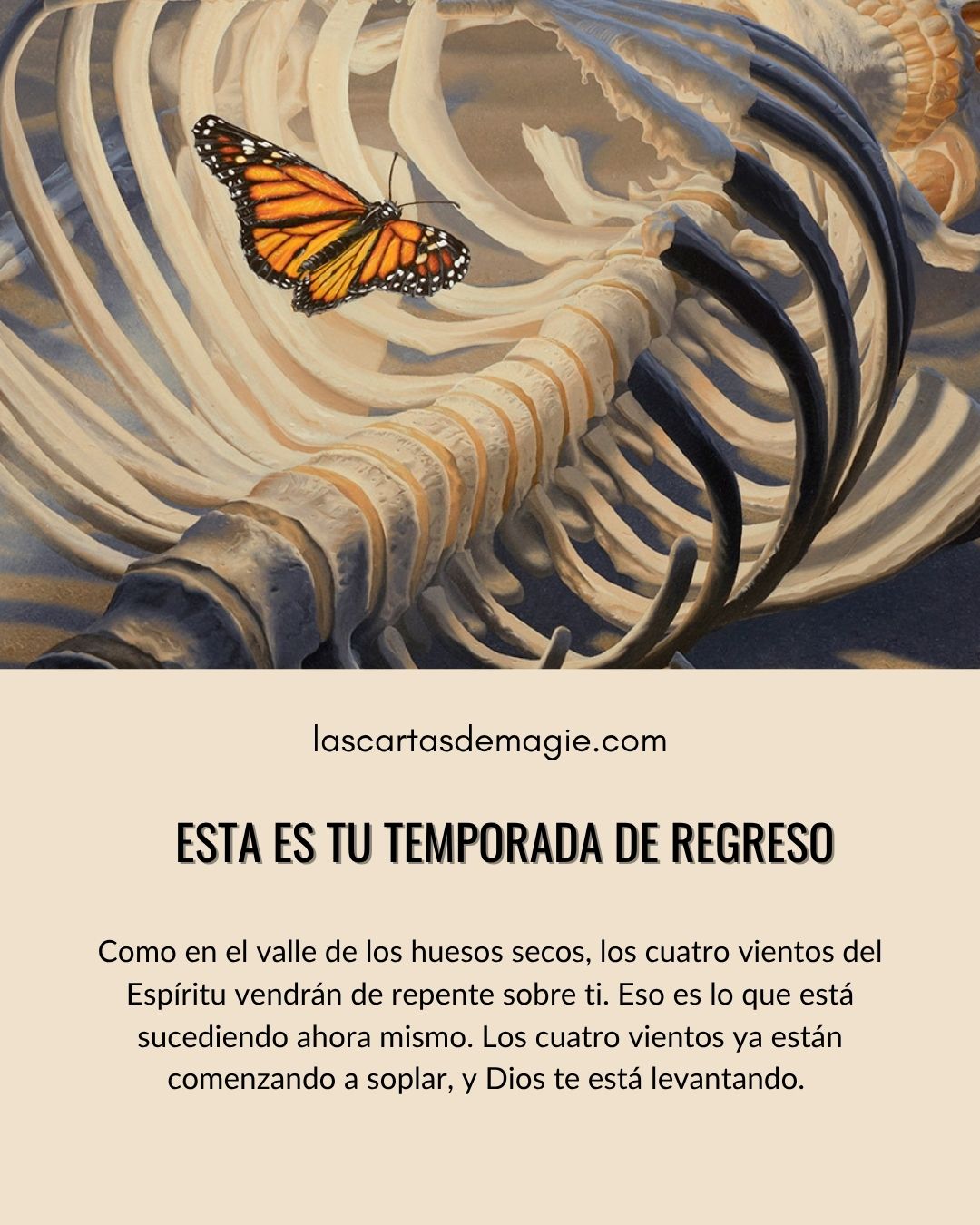 Esta es tu temporada de regreso - Las Cartas de Magie