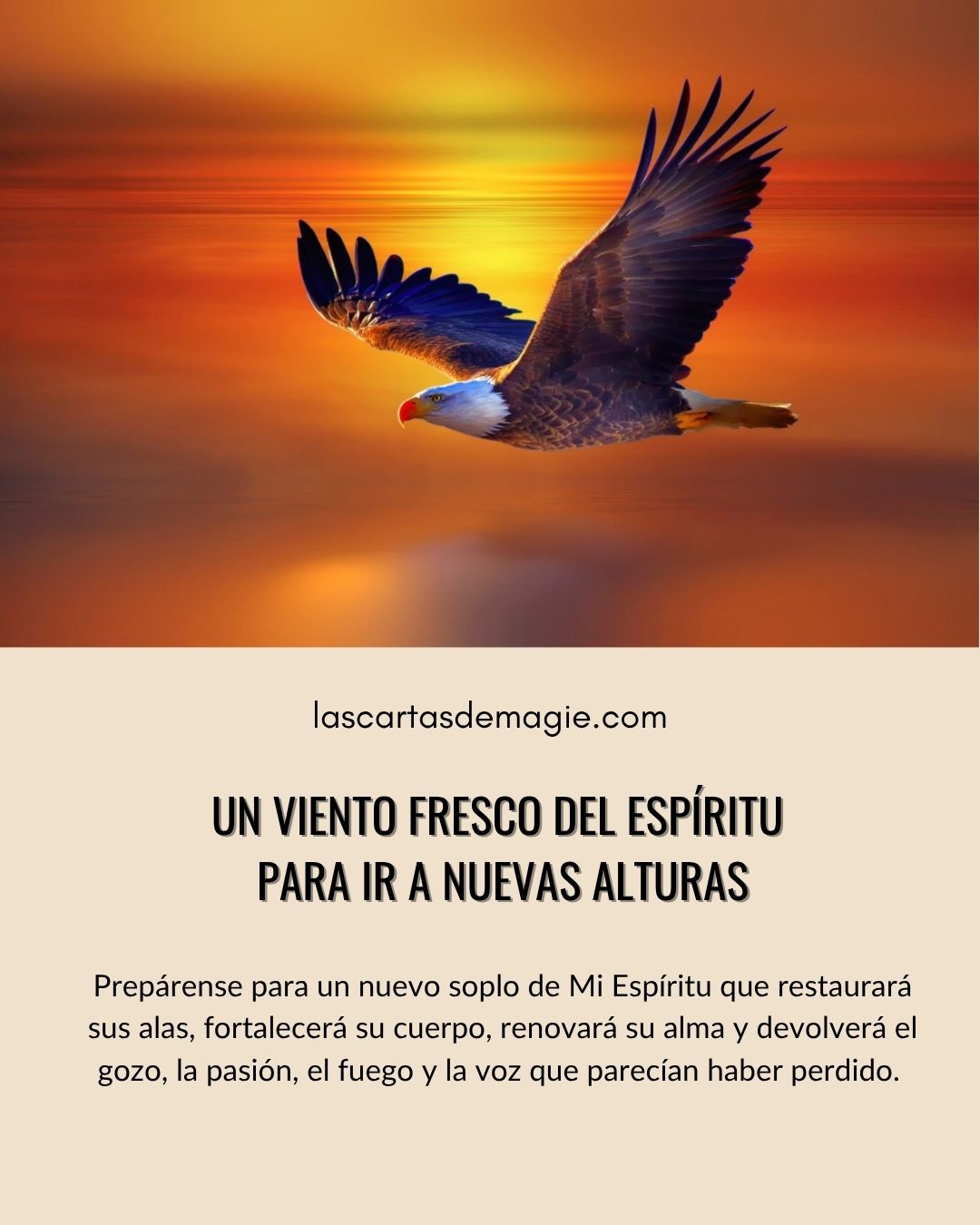 Un viento fresco del Espíritu para ir a nuevas alturas - Las Cartas de Magie