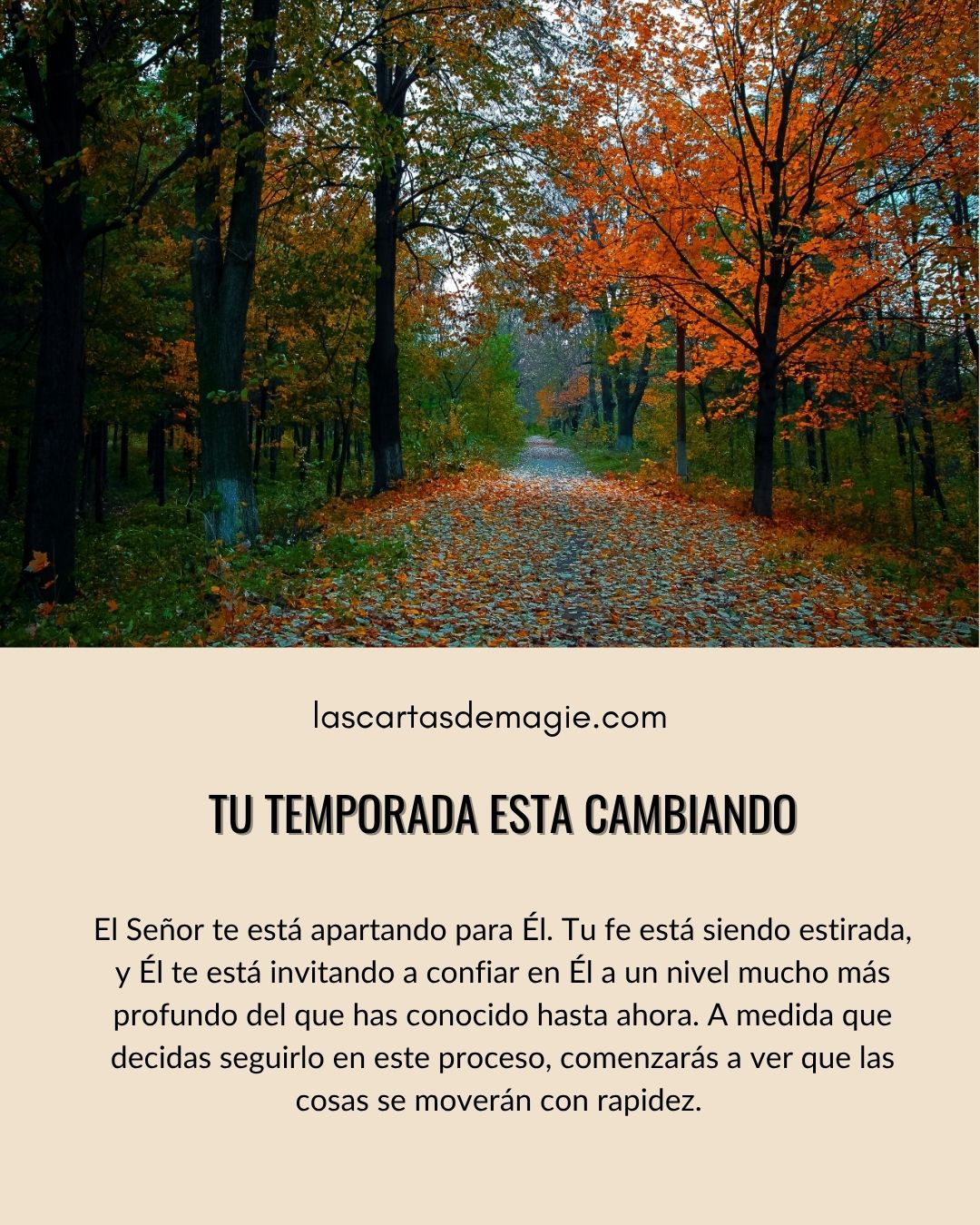 Tu temporada está cambiando - Las Cartas de Magie