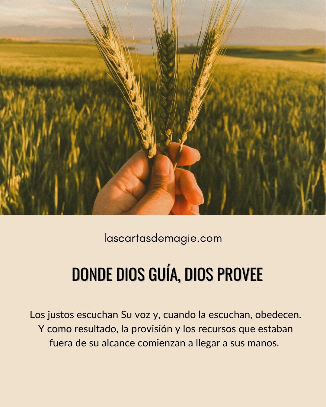 Donde Dios guía, Dios provee - Las Cartas de Magie