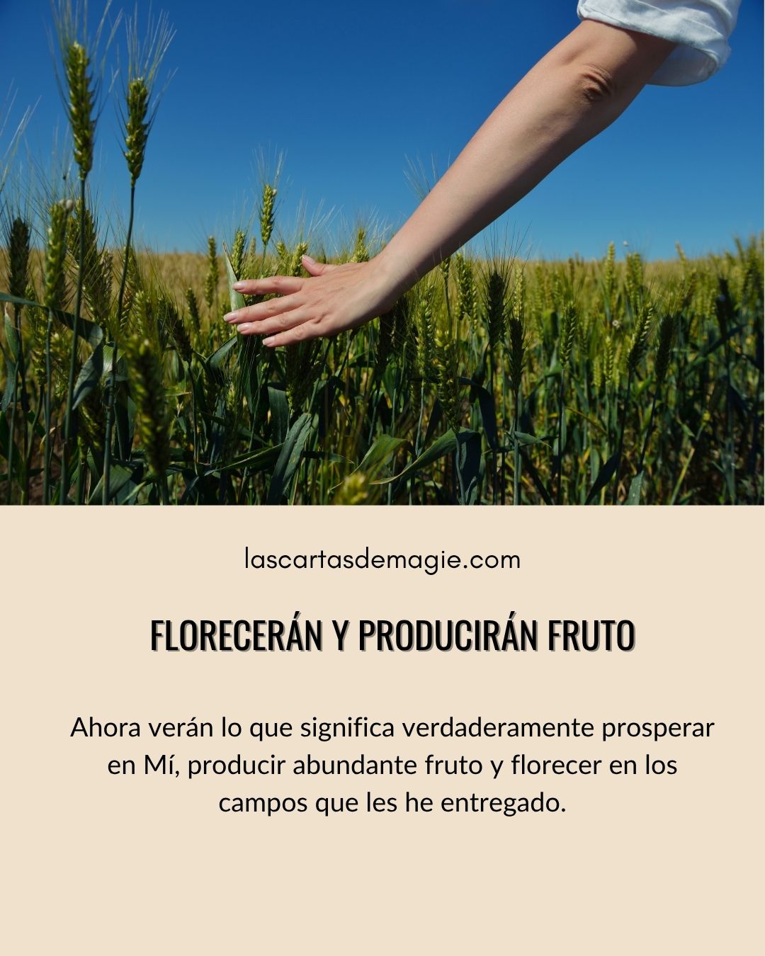 Florecerán y producirán fruto - Las Cartas de Magie