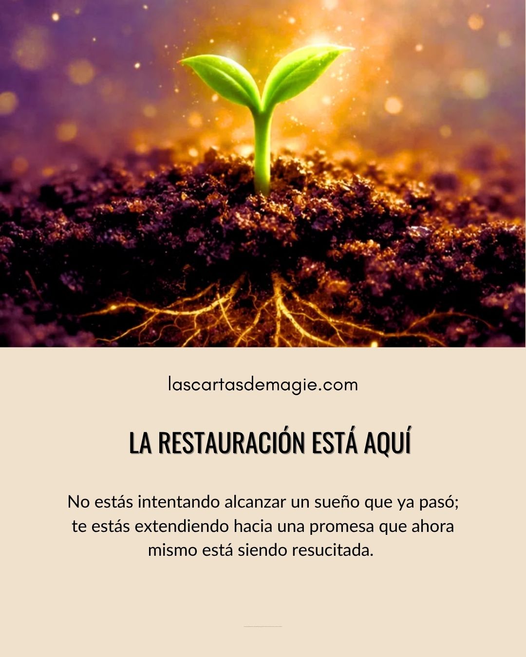 La restauración está aquí - Las Cartas de Magie