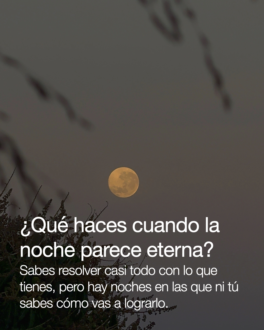 ¿Qué haces cuando la noche parece eterna? - Las Cartas de Magie