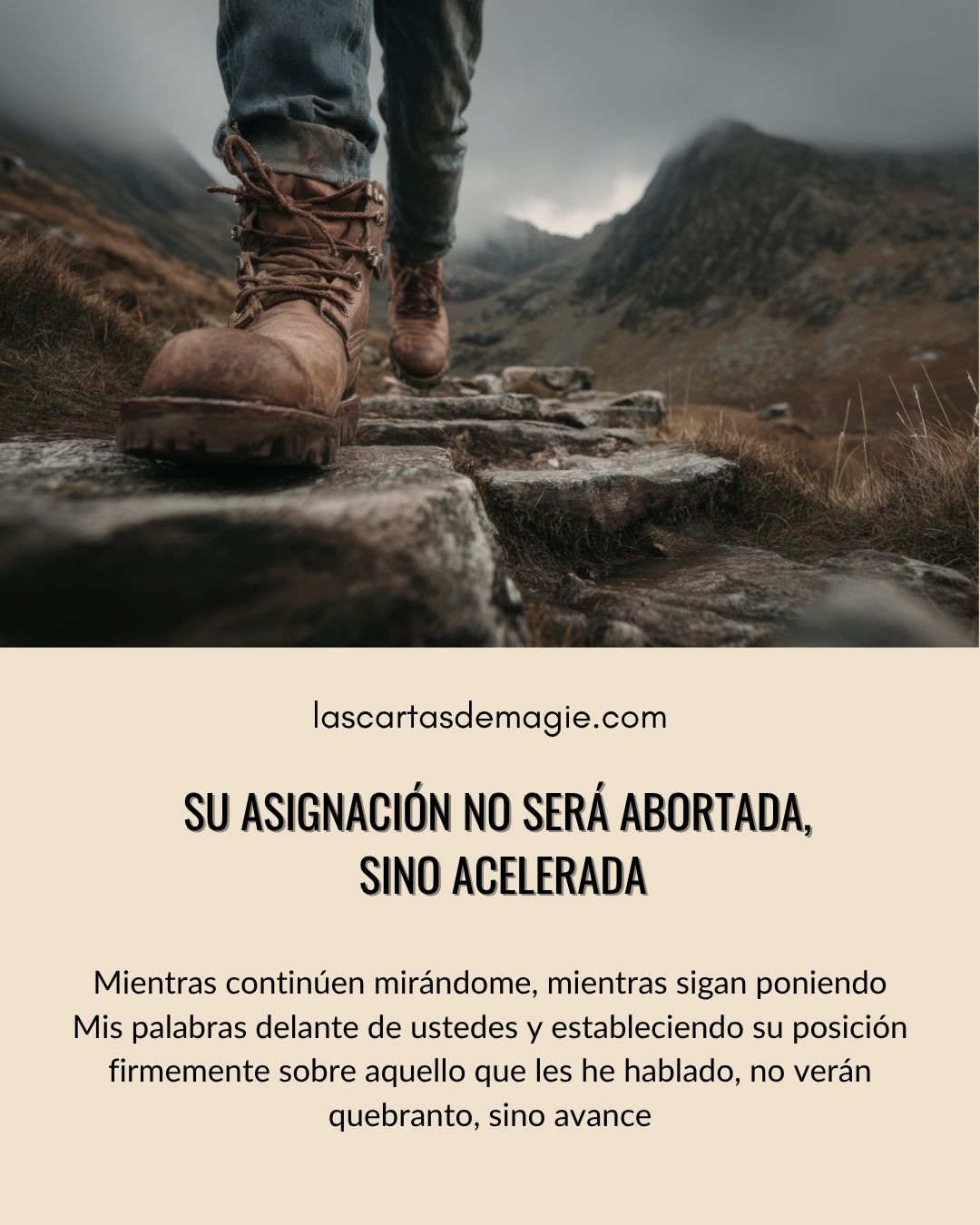 Su asignación no será abortada, sino acelerada - Las Cartas de Magie