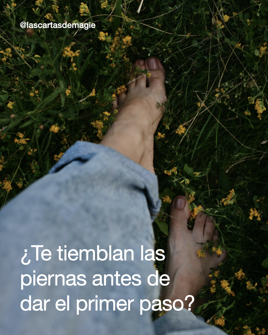 ¿Te tiemblan las piernas antes de dar el primer paso? - Las Cartas de Magie