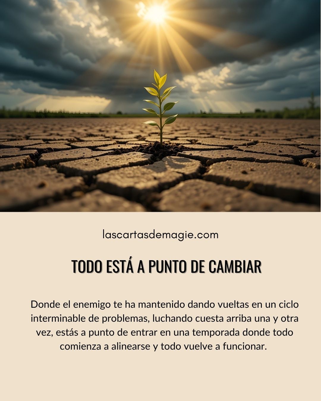 Todo está a punto de cambiar - Las Cartas de Magie