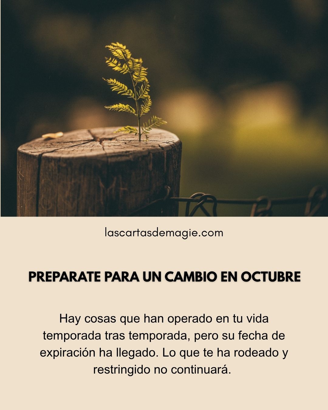 Prepárate para un cambio en octubre - Las Cartas de Magie