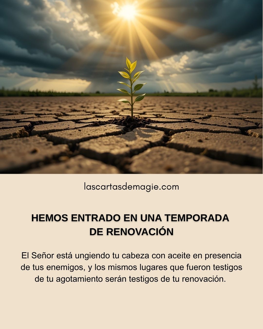 Hemos entrado en una temporada de renovación - Las Cartas de Magie