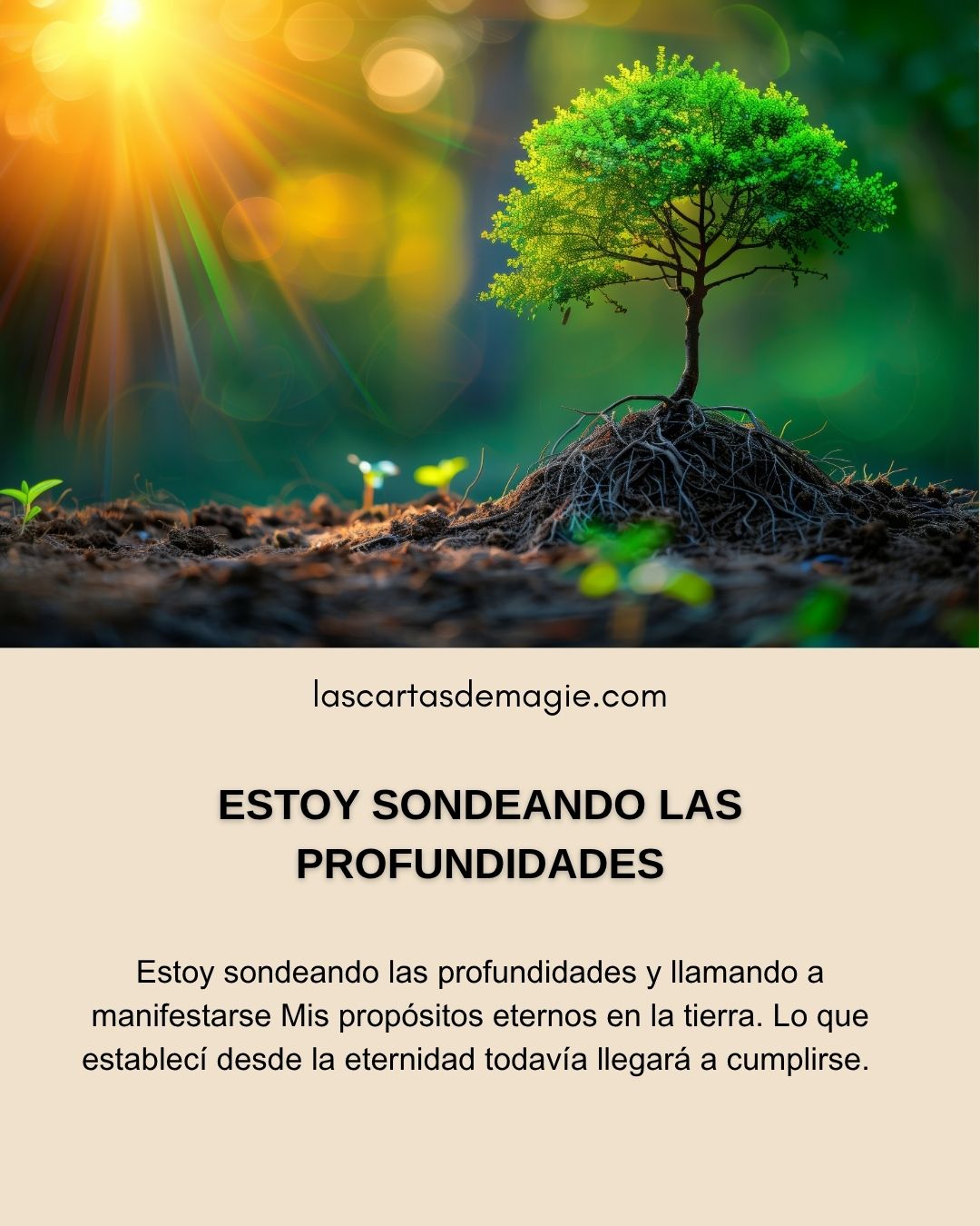 Estoy sondeando las profundidades - Las Cartas de Magie