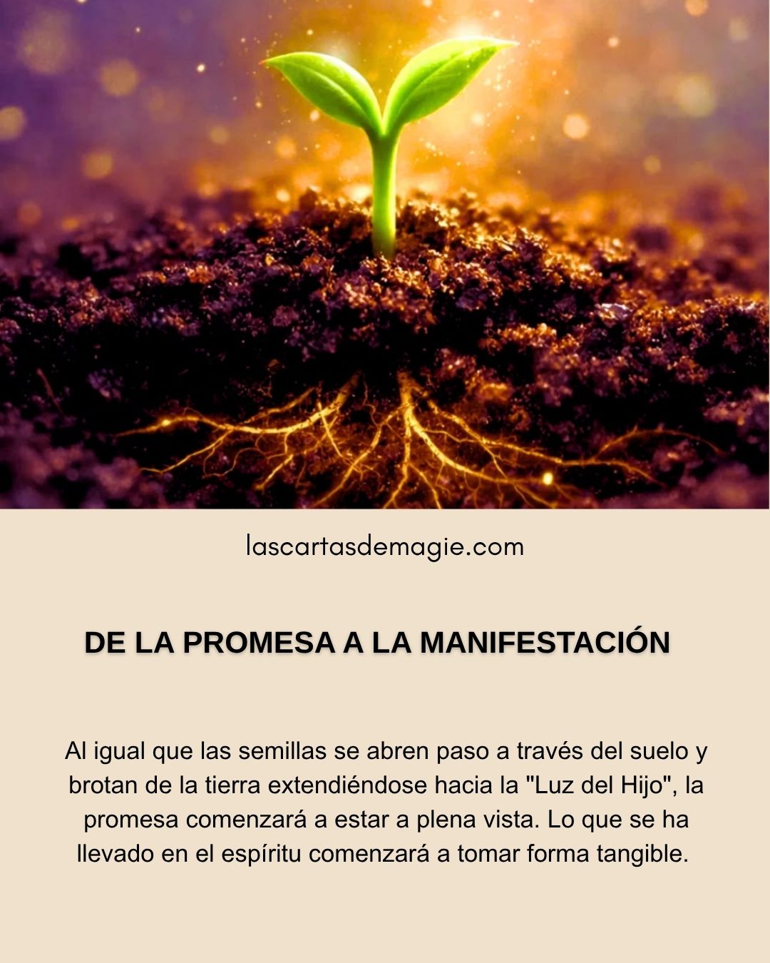 De la promesa a la manifestación - Las Cartas de Magie
