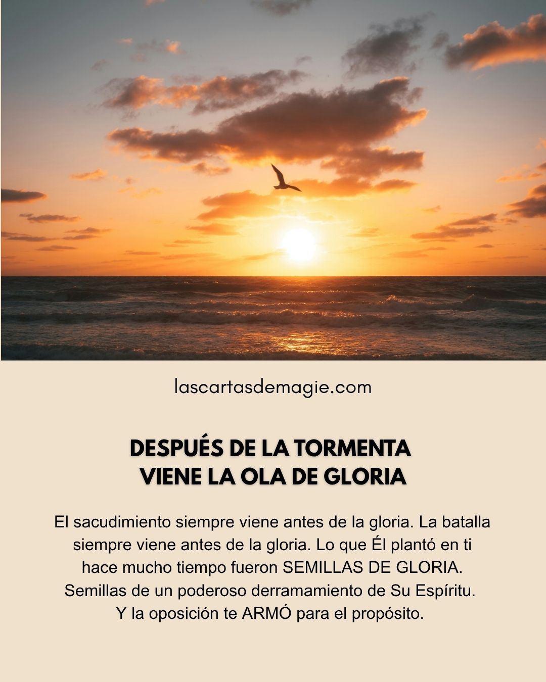 Después de la tormenta viene la ola de gloria - Las Cartas de Magie