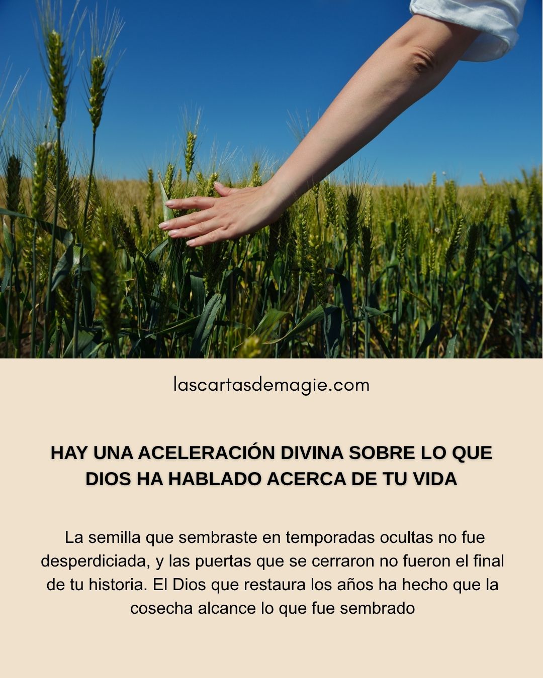 Hay una aceleración divina sobre lo que Dios ha hablado acerca de tu vida - Las Cartas de Magie