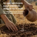 Lo que sembraste sigue creciendo aunque no lo veas - Las Cartas de Magie