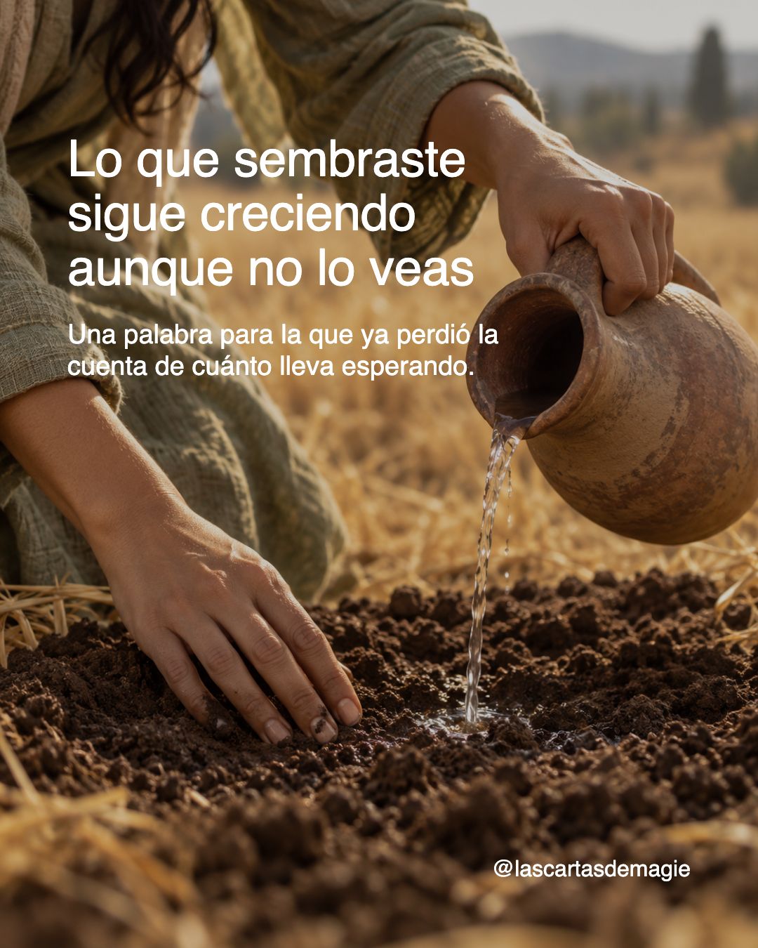 Lo que sembraste sigue creciendo aunque no lo veas - Las Cartas de Magie